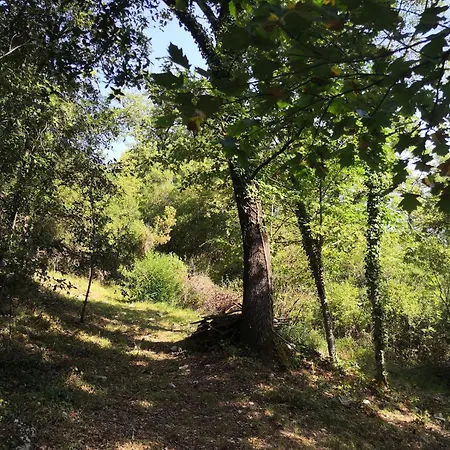 Casa Di Roby Strettura